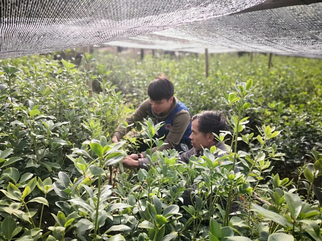 <藤检微第621期>我为群众办实事|检察人的三农情怀