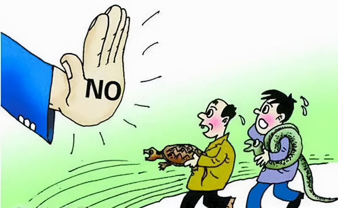 <藤检微第636期>收购20多万元野生动物贩卖,两起非法经营野生动物刑事附带民事公益诉讼案开庭审理