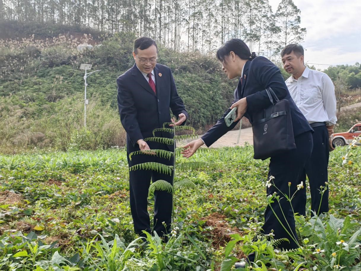 市检察院领导到基地调研