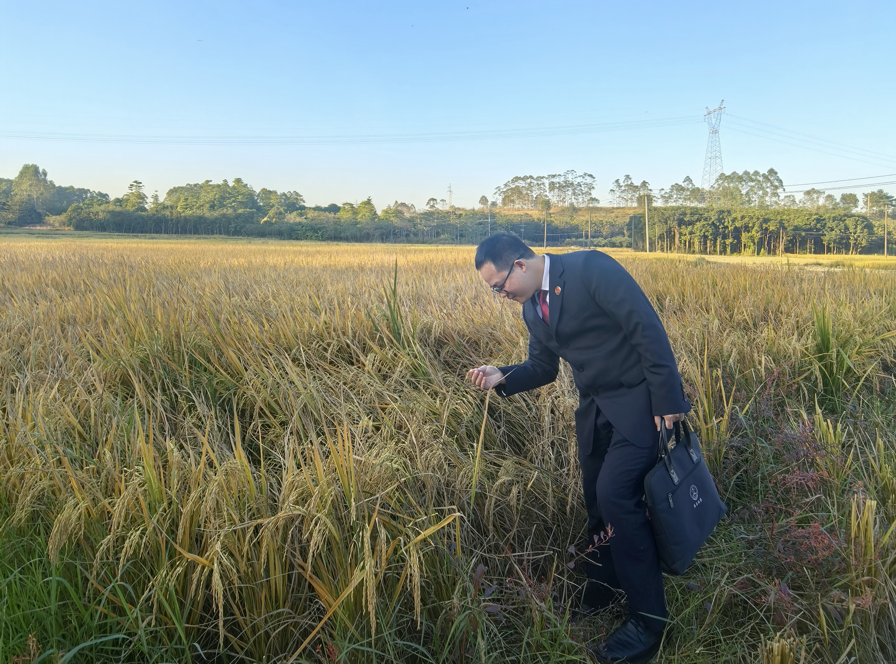 助推农田建设项目顺利推进和有效管护，提升粮食生产能力。.jpg