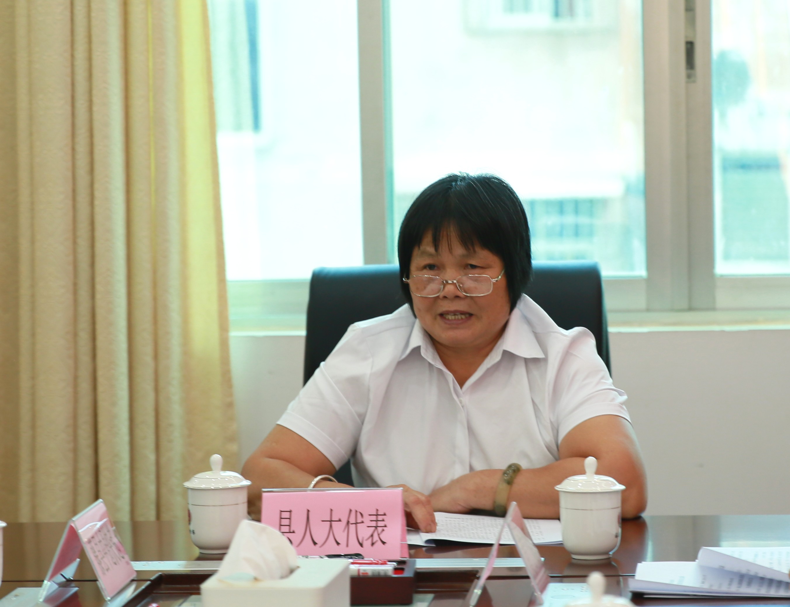 藤县人大代表邓结玲在会上发表意见建议.JPG